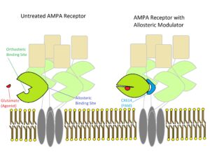 Allosteric binding sites