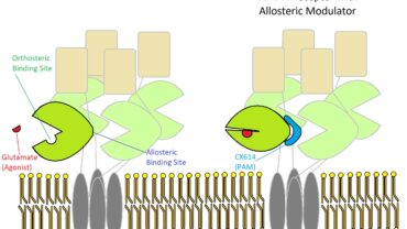 Allosteric binding sites