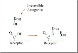 Antagonist