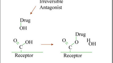 Antagonist