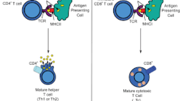 Antigen