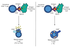 Antigen