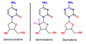 Antimetabolite