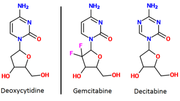 Antimetabolite