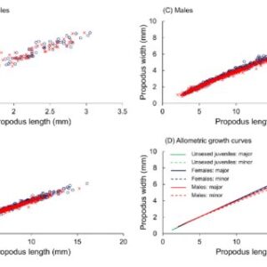 Allometric growth