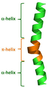 Alpha helix 