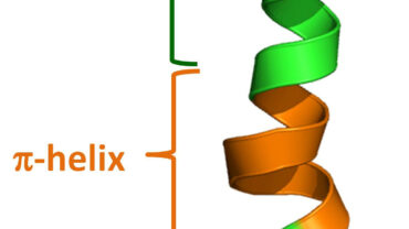 Alpha helix