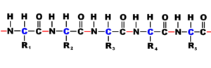 Amino acid residue 