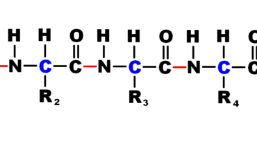 Amino acid residue