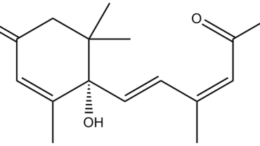 abscisic acid