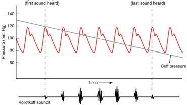 Blood pressure