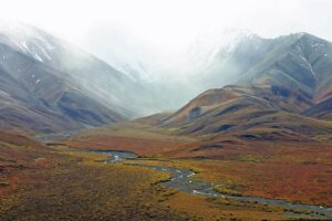 Tundra ecosystem