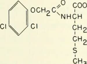 auxins