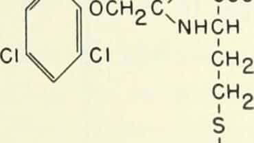 auxins