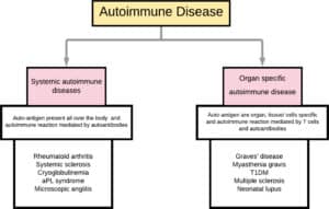 autoimmune disease 