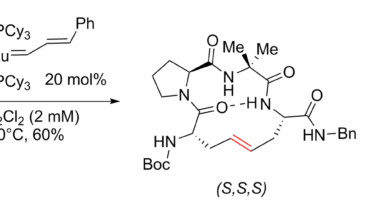 beta sheet