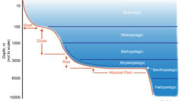 bathyal zone